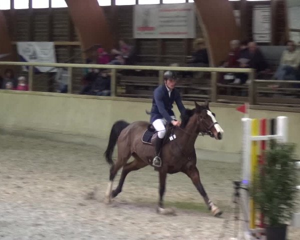 Reitturnier Heidelberg-Kirchheim 2019
