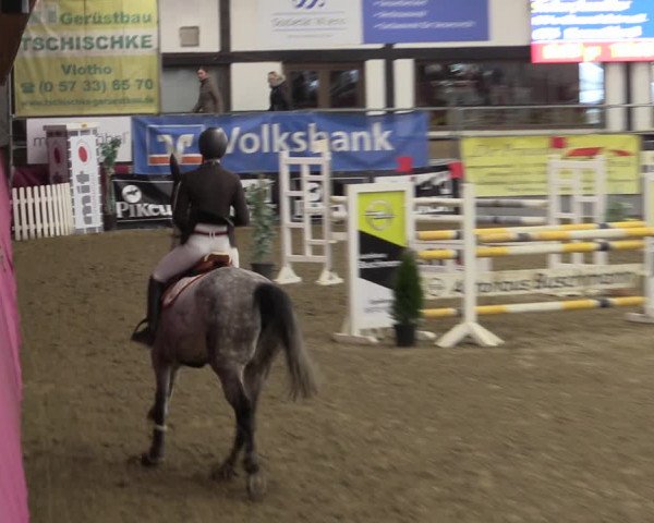 Reitturnier Vlotho-Exter 2019