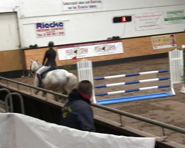 Reitturnier Heide 2019