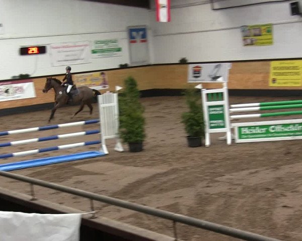 Reitturnier Heide 2019
