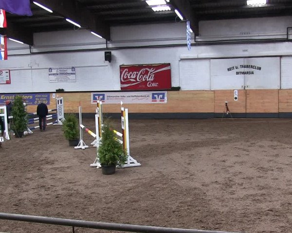 Reitturnier Heide 2019