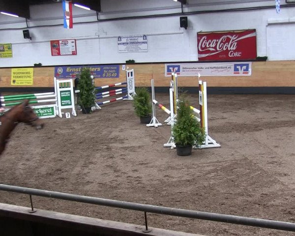 Reitturnier Heide 2019