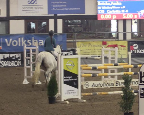 Reitturnier Vlotho-Exter 2019