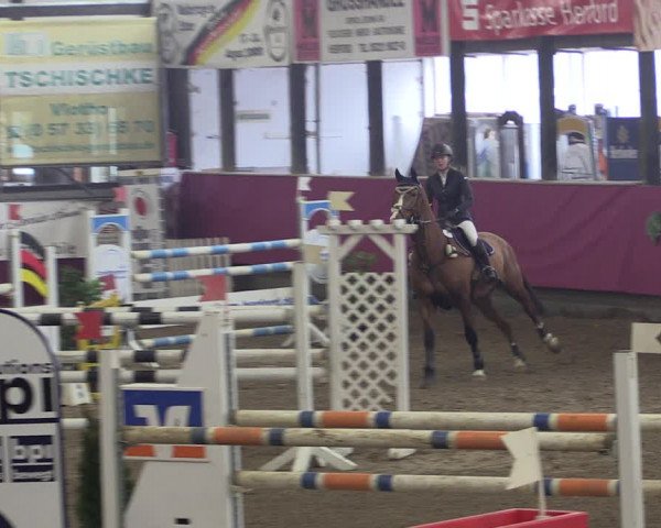 Reitturnier Vlotho-Exter 2019