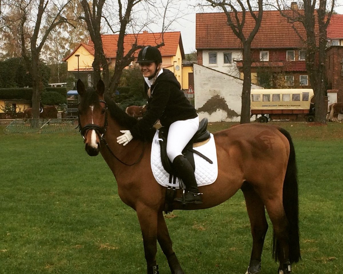 dressage horse Fürst Adalbert von Falkenstein (Hanoverian, 2009, from First Pleasure)