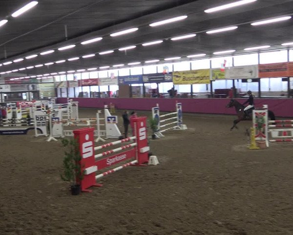 Reitturnier Vlotho-Exter 2019