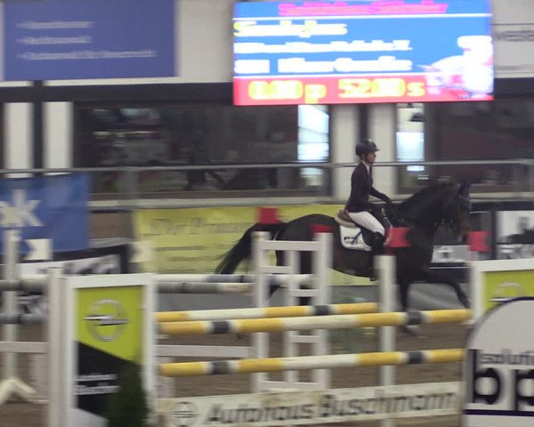 Reitturnier Vlotho-Exter 2019
