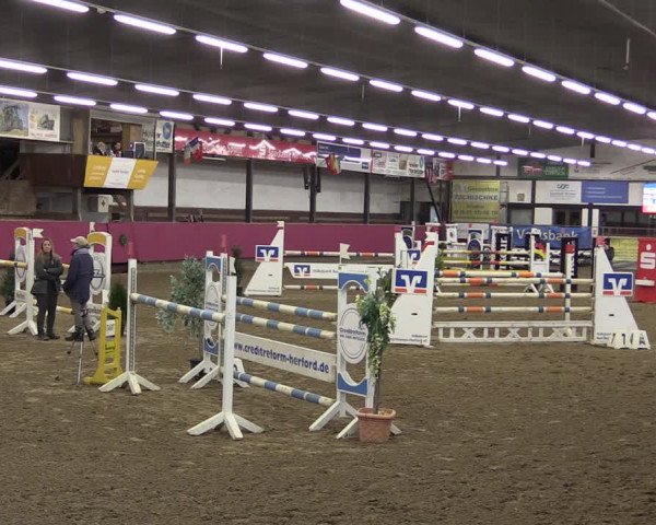 Reitturnier Vlotho-Exter 2019