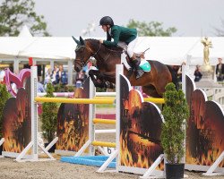 Springpferd Attyrory Rebel (Irish Sport Horse, 2006)