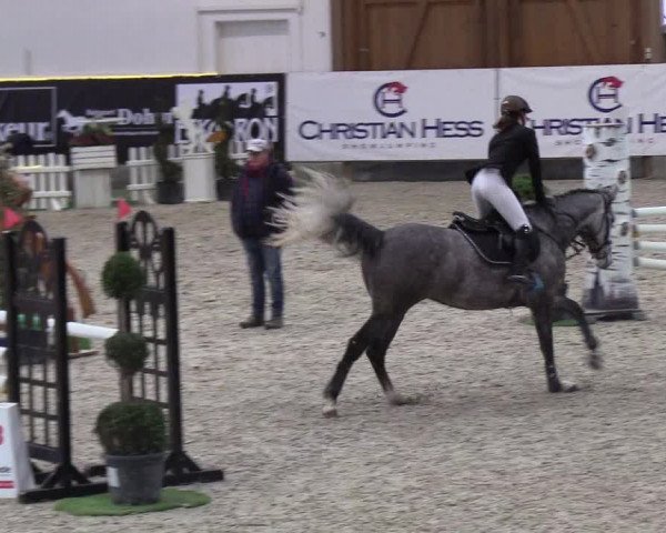 Nordic Jumping events 2019