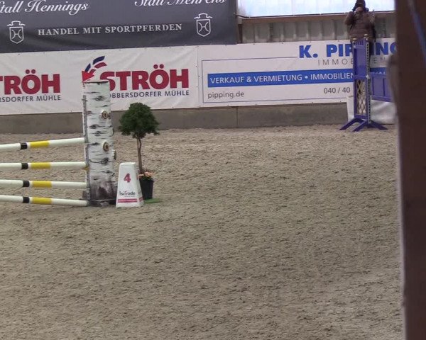 Nordic Jumping events 2019