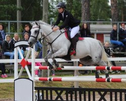 jumper Tullibards Piaf (Irish Sport Horse, 2004)