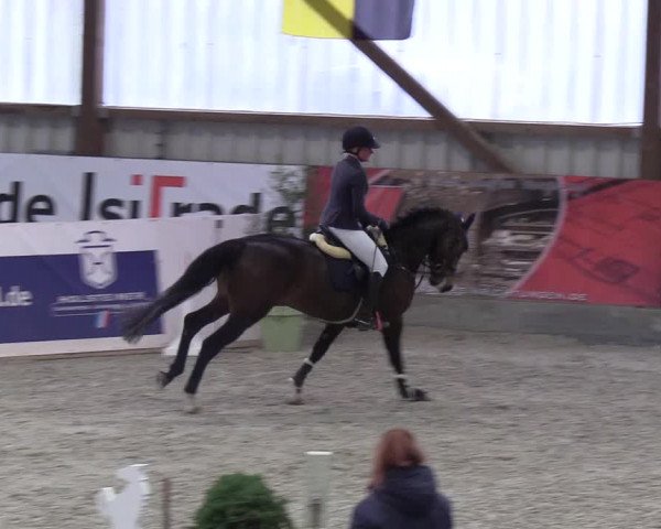Nordic Jumping events 2019