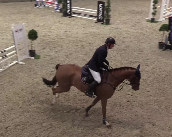 Nordic Jumping events 2019