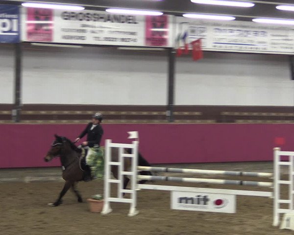 Reitturnier Vlotho-Exter 2019