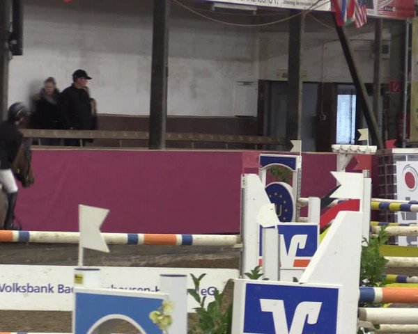 Reitturnier Vlotho-Exter 2019