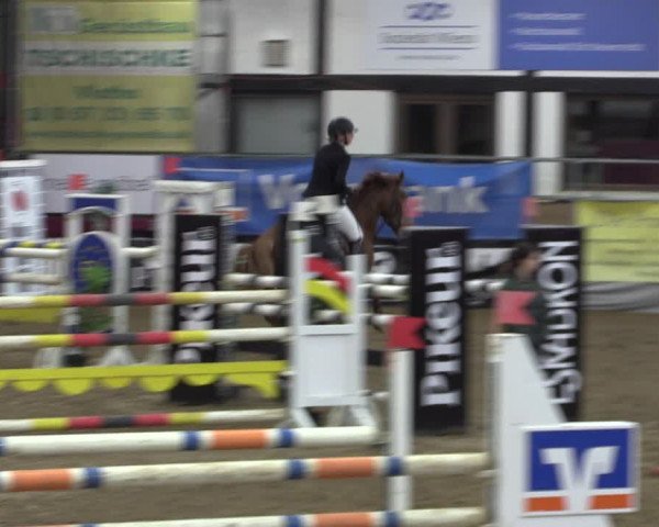 Reitturnier Vlotho-Exter 2019