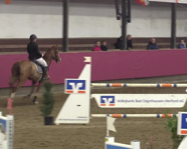 Reitturnier Vlotho-Exter 2019