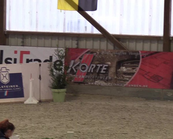 Nordic Jumping events 2019