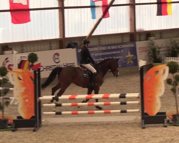 Nordic Jumping events 2019