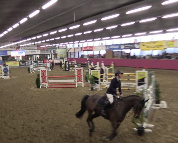 Reitturnier Vlotho-Exter 2019