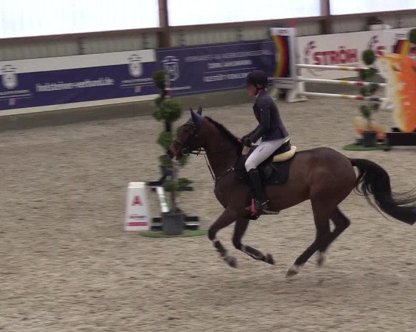 Nordic Jumping events 2019