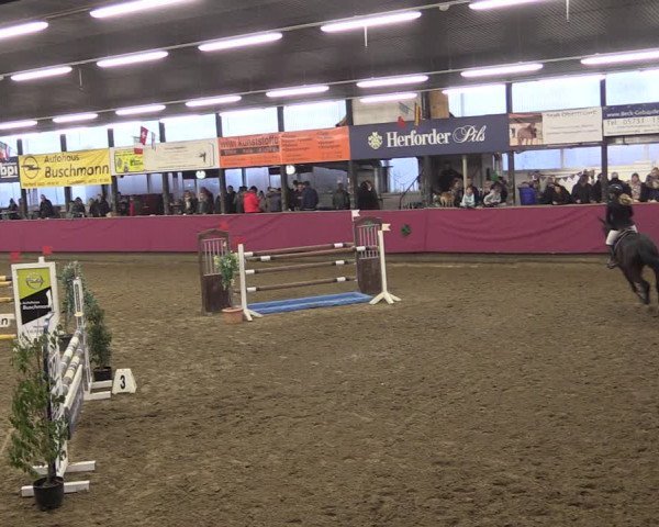 Reitturnier Vlotho-Exter 2019