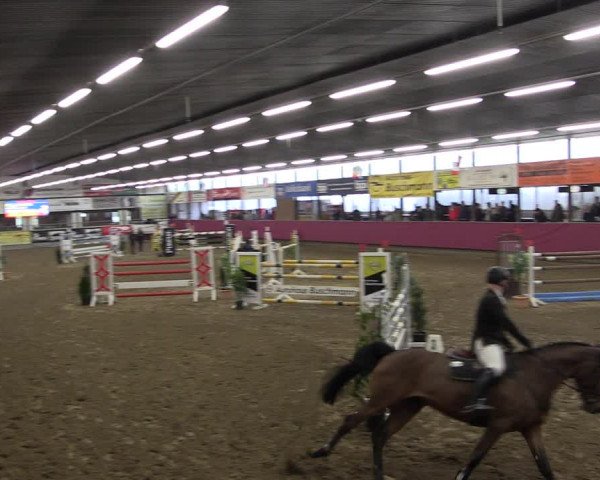 Reitturnier Vlotho-Exter 2019
