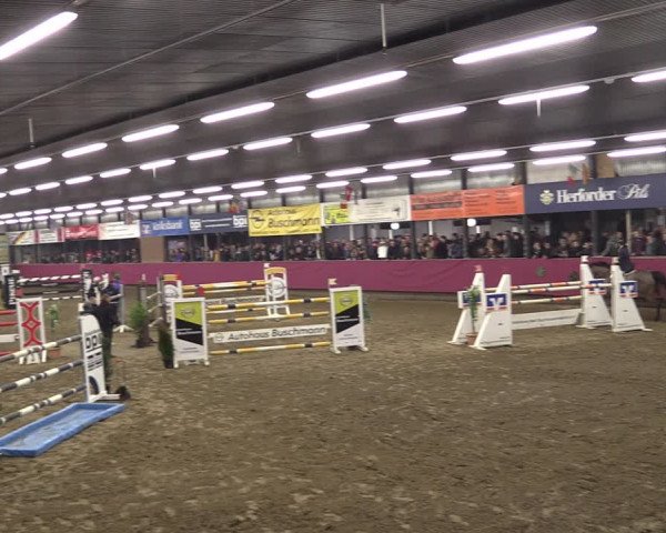Reitturnier Vlotho-Exter 2019