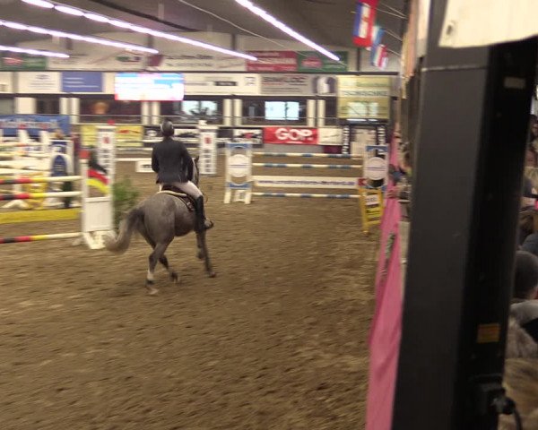 Reitturnier Vlotho-Exter 2019