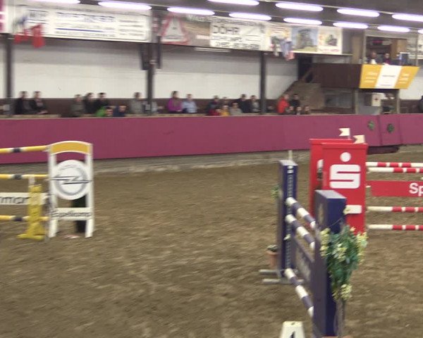 Reitturnier Vlotho-Exter 2019