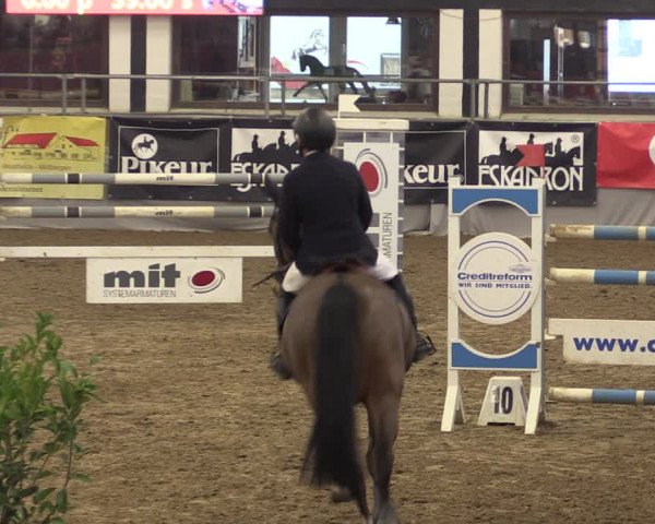 Reitturnier Vlotho-Exter 2019