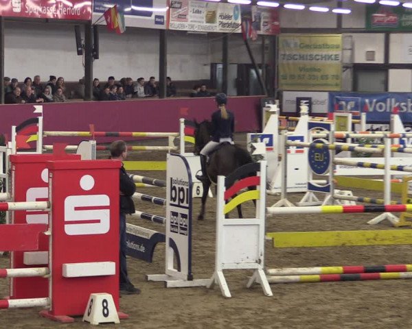 Reitturnier Vlotho-Exter 2019