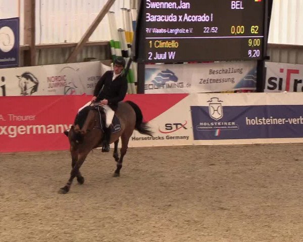 Nordic Jumping events 2019