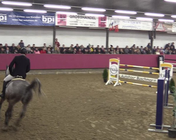 Reitturnier Vlotho-Exter 2019