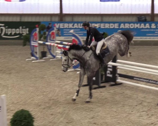 Nordic Jumping events 2019