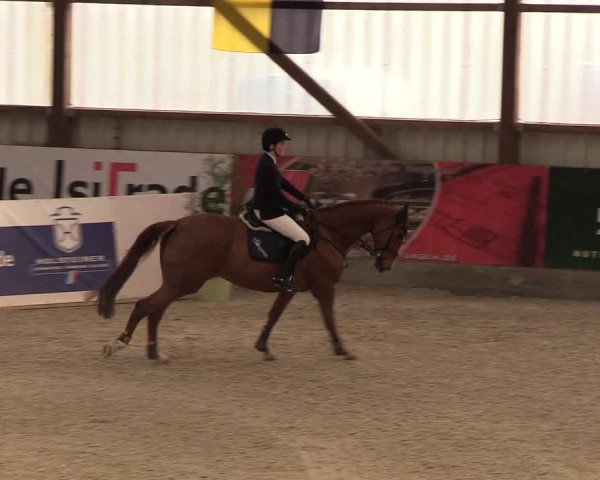 Nordic Jumping events 2019