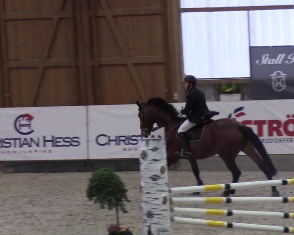 Nordic Jumping events 2019