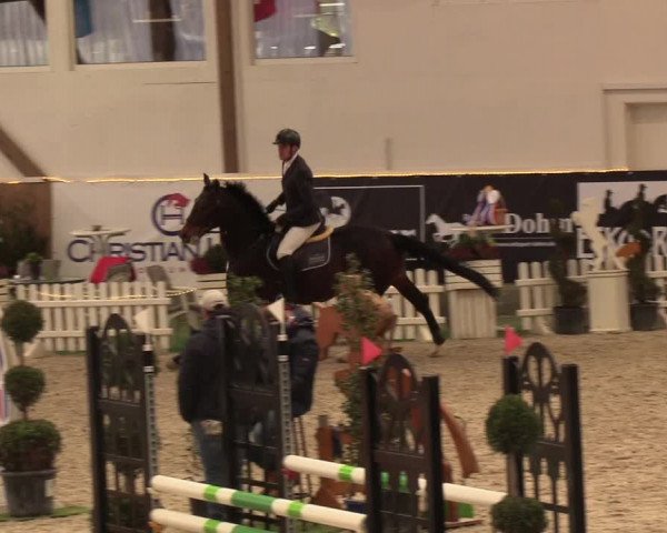 Nordic Jumping events 2019