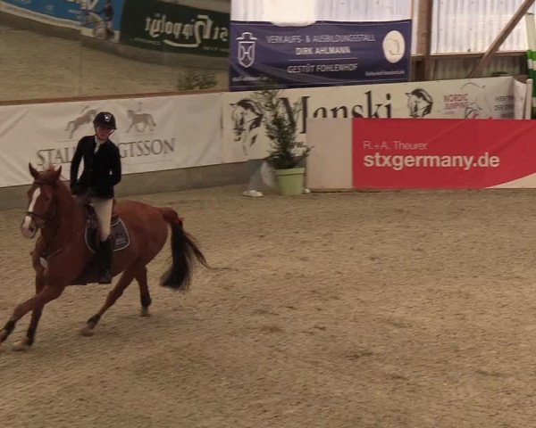 Nordic Jumping events 2019