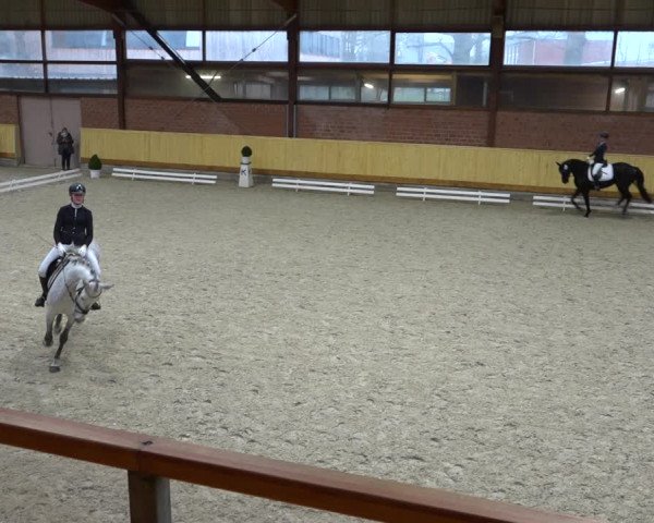 Reitturnier Hamburg-Friedrichshulde/Sylva Kuhrt 2021