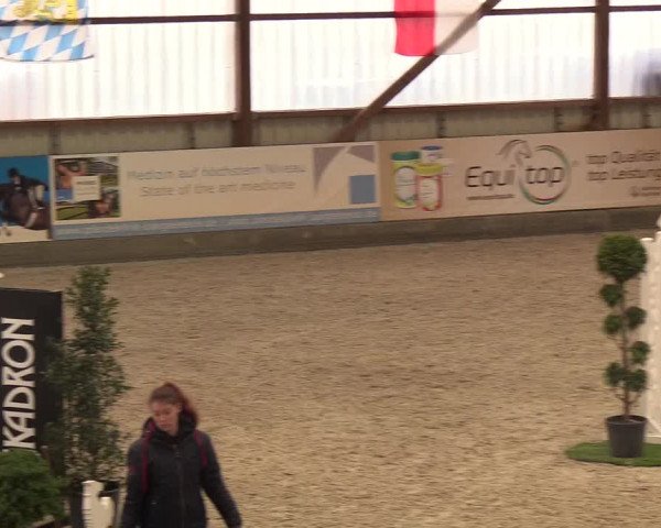Nordic Jumping events 2019