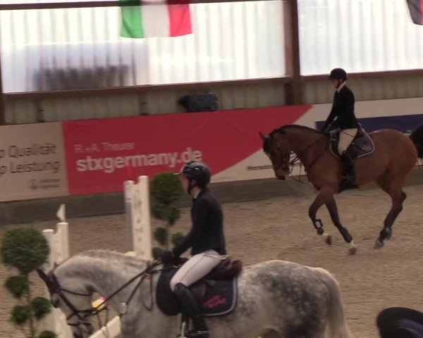 Nordic Jumping events 2019