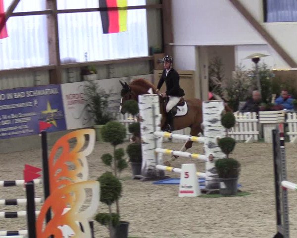 Nordic Jumping events 2019