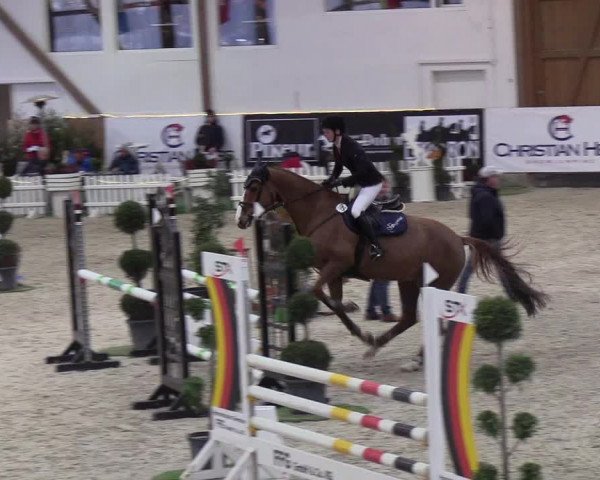 Nordic Jumping events 2019