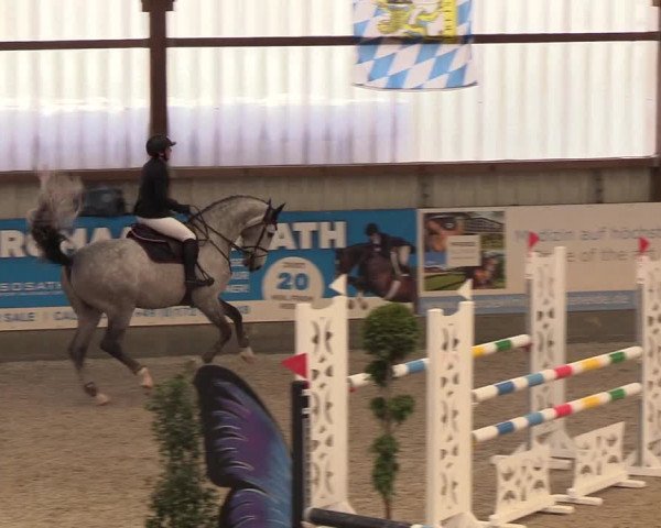 Nordic Jumping events 2019