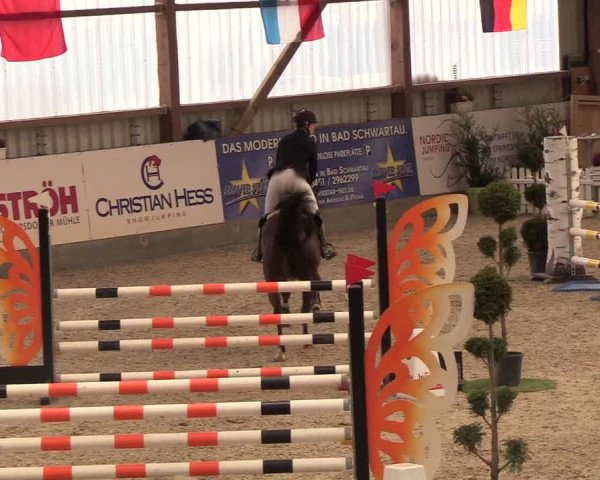 Nordic Jumping events 2019