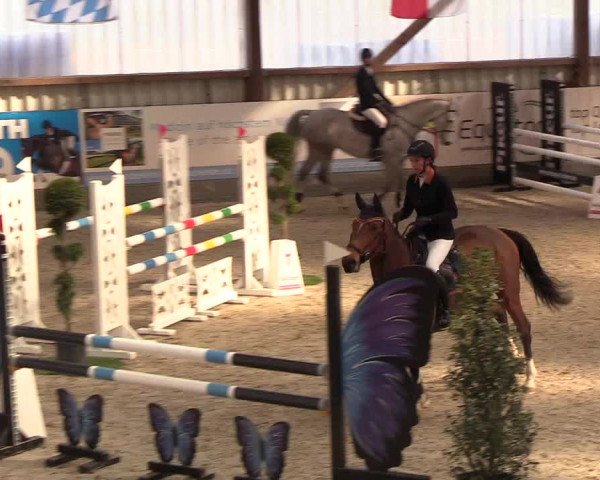 Nordic Jumping events 2019