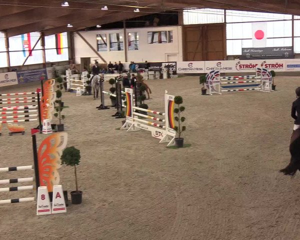 Nordic Jumping events 2019