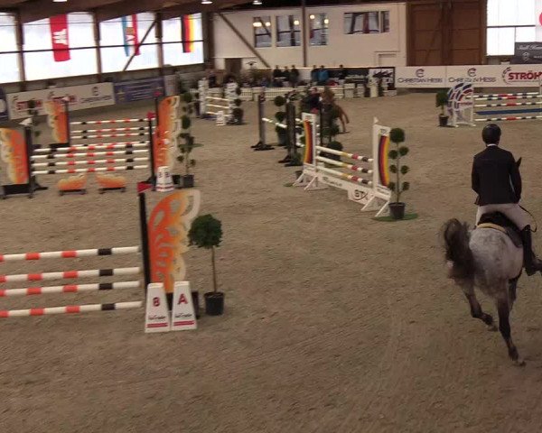 Nordic Jumping events 2019